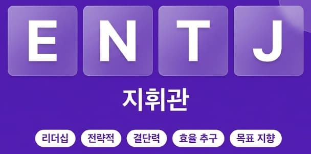 ENTJ 지휘관